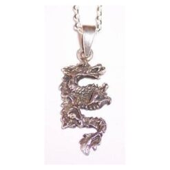 Pandantiv barbatesc model dragon pe lantisor de argint
