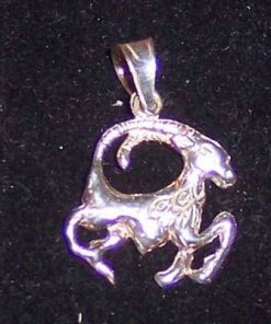 Pandantiv unisex din argint - Capricorn