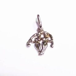 Pandantiv unisex din argint - Gemeni