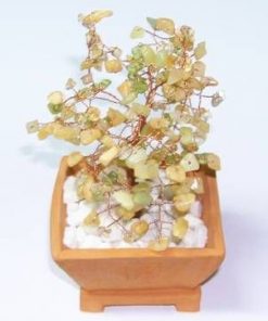 Copacel cu cristale de citrin si olivina - mediu