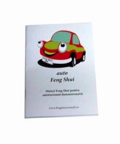 Auto Feng Shui - sfaturi Feng Shui pentru autoturismul dvs.