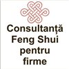 Consultanta Feng Shui pentru firme in Brasov