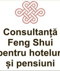 Consultanta Feng Shui pentru firme in afara orasului Brasov