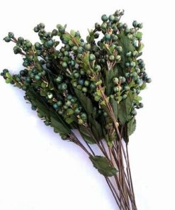 Valurile Fericirii - 68 cm