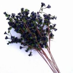 Buchet de 5 trandanfiri albi - remediu Feng Shui