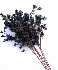 Floarea sanatatii - albastra - 9 fire