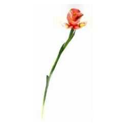 Floare de iris - 86 cm