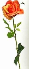 Trandafirul bucuriei si curajului - 64 cm