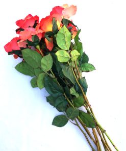 Trandafirul bucuriei si curajului  - 64 cm - 9 fire