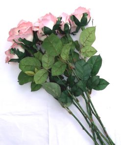 Trandafirul dragostei si prieteniei - 64 cm - 7 fire