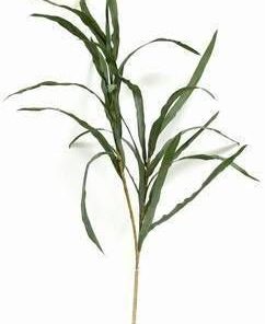 Valurile Fericirii - 68 cm