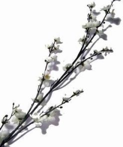 Crenguta cu flori de mar albe - 120 cm