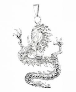 Dragonul imperial din inox - pandantiv unisex