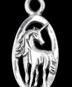 Pandantiv unisex din argint cu unicornul/inorogul Fericirii