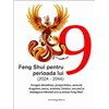 Feng Shui pentru perioada lui 9 (2024-2044)