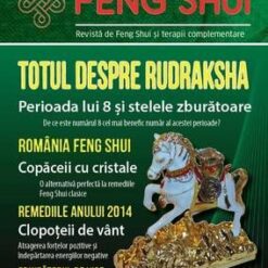 Cercei din metal nobil cu cristale de stanca